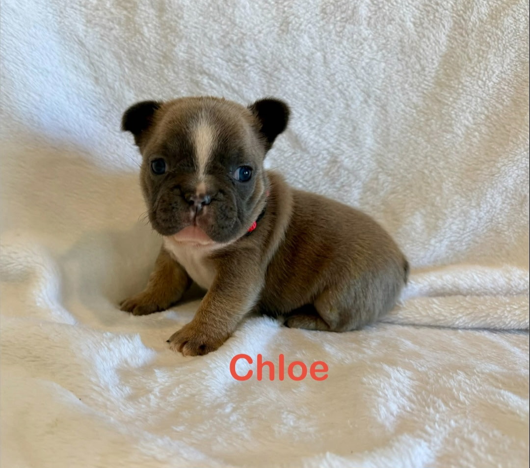 Chloe