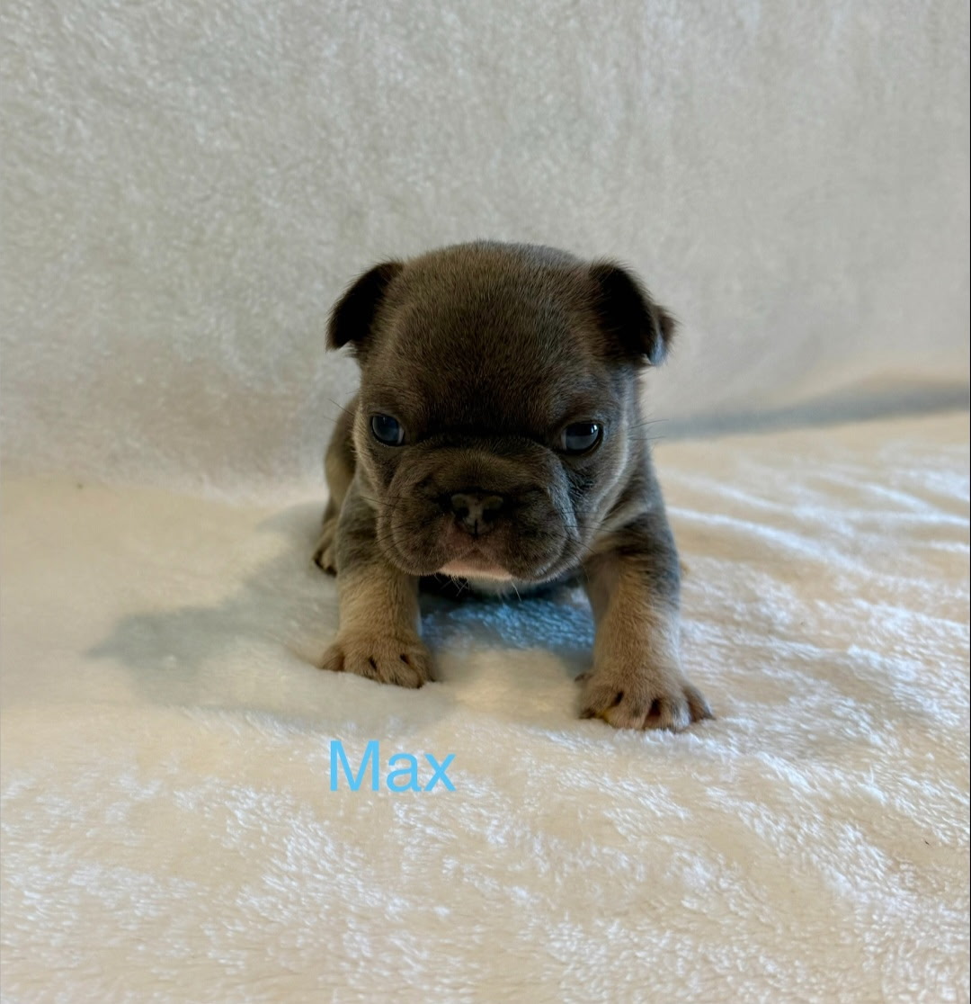 Max