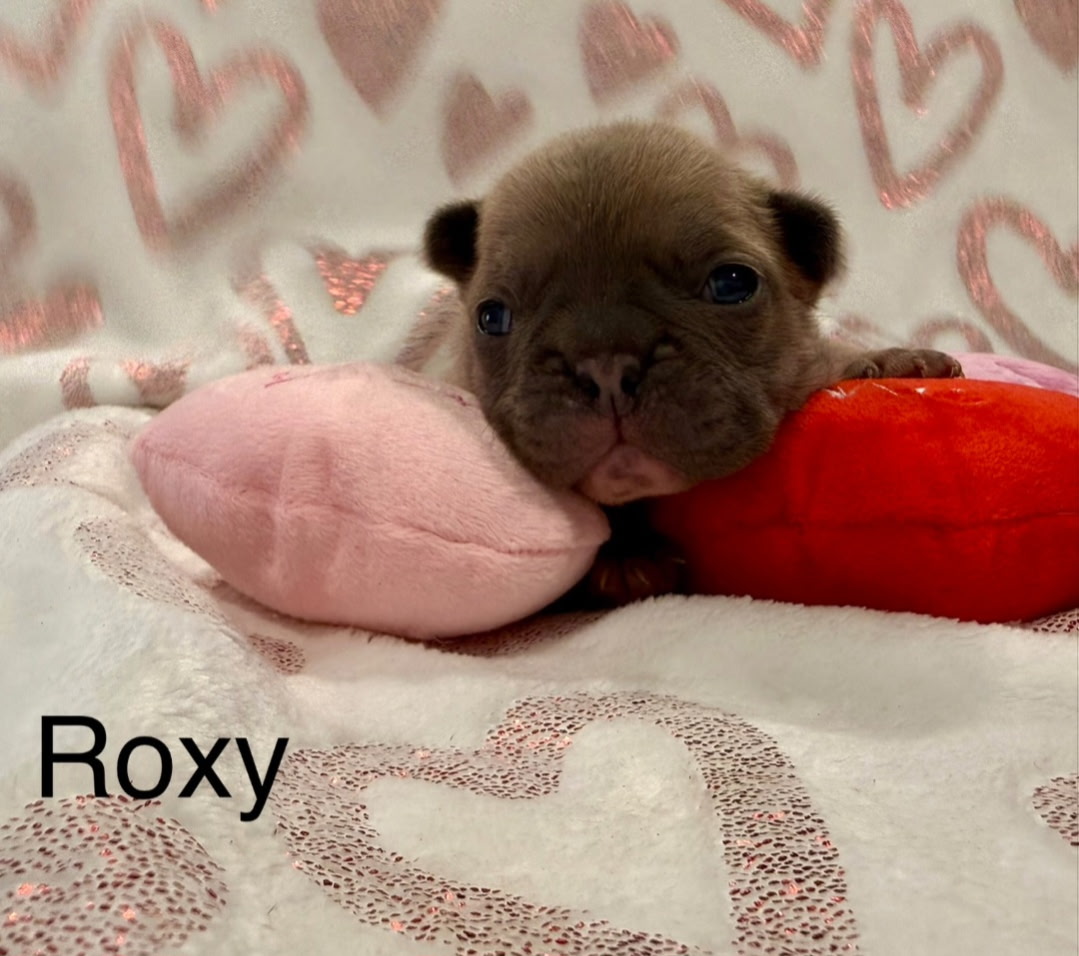 Roxy